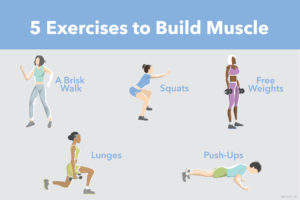 Muscle building exercises for strength